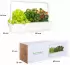 Click & Grow Smart Garden 9