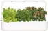 Click & Grow Smart Garden 9