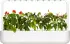 Click & Grow Smart Garden 9