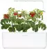 Click & Grow Smart Garden 3 white