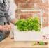 Click & Grow Smart Garden 3 white