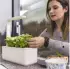 Click & Grow Smart Garden 3 white