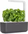 Click & Grow Smart Garden 3 grey
