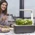 Click & Grow Smart Garden 3 grey