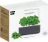 Click & Grow Smart Garden 3 grey