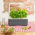 Click & Grow Smart Garden 3 grey