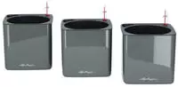 Lechuza 13524, Lechuza Green Wall Home Kit (48 x 48 x 14 cm) (13524) Schwarz