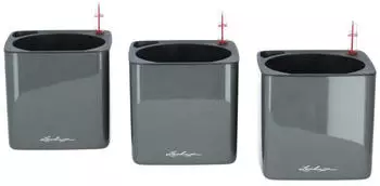 Lechuza Green Wall Home Kit Glossy anthrazit