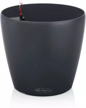 Lechuza Classico Color 18 schiefergrau
