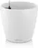 Lechuza Classico Color 18