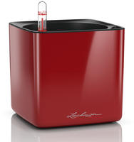 Lechuza 13512, Lechuza Tischgef&auml;&szlig; CUBE Premium 14 - Scarlet Rot Highgloss
