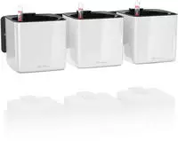 Lechuza &Uuml;bertopf Green Wall Home Kit Glossy, wei&szlig;, 14x14x14cm, aus Kunststoff, f&uuml;r