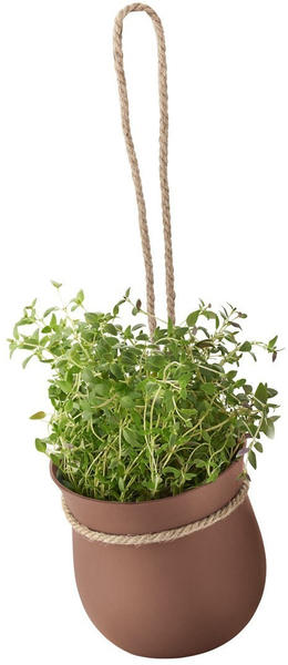 RIG-TiG Grow-It Herb Pot Terracotta