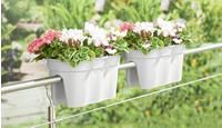 KHW Balkonkasten "Flowerclip XXL" BxTxH: 57,5x27,7x27 cm