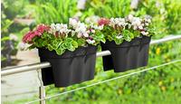 KHW Balkonkasten "Flowerclip XXL" BxTxH: 57,5x27,7x27 cm