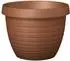 Terra Cotta