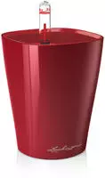 Lechuza 14960, Lechuza Tischgef&auml;&szlig; MINI DELTINI Premium - Scarlet Rot hochglanz