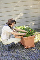 Elho - Untersetzer Green Basics Garden Xxl Tonrot 80 Cm Untersetzer