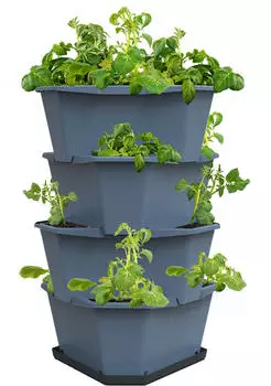 Gusta Garden Paul Potato Starter 4 Etagen blau