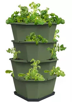 Gusta Garden Paul Potato Starter 4 Etagen dunkelgr&uuml;n