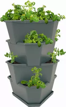 Gusta Garden Paul Potato Starter 4 Etagen anthrazit
