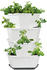 weiß: Gusta Garden Paul Potato Starter 4 Etagen