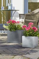 Scheurich Blumentopf "80/240 C-CUBE LONG"