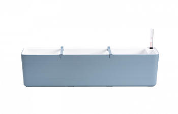 plastia Berberis 80cm graublau/wei&szlig;