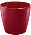 Lechuza Classico Color 60