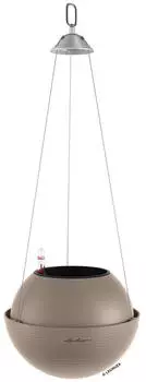 Lechuza Bola Color 23 sandbraun