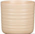 Dry Reed