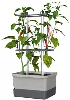 Gusta Garden Charly Chili 34,5 x 69 x 27,5 cm hellgrau (100710)