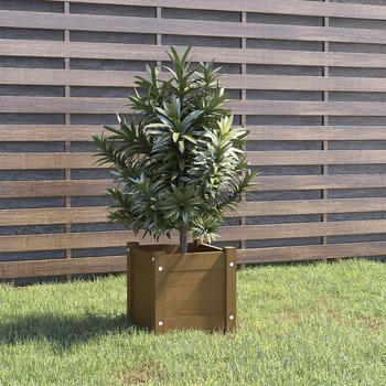 vidaXL Pflanzk&uuml;bel 31 x 31 x 31 cm Massivholz Kiefer honigbraun (810528)