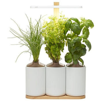 Prêt à pousser smarter Pflanzkasten Lilo Connect Kunststoff inkl. 3 Töpfe und 3 Kapseln weiß