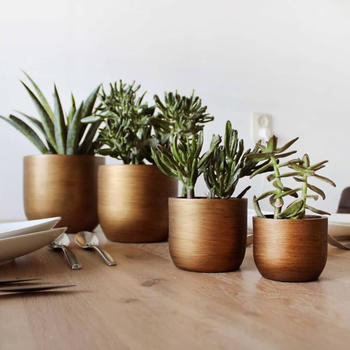 Capi Europe Capi Blumentopf-Set 4-tlg. Lux Retro gold (BOX-BRTG-4)