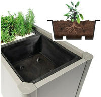 Biohort Pflanzeinsatz "PFLANZEINSATZ 3 Stk" 50x50x18 cm