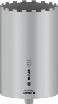 Bosch Pro Core Cutter Wet für Diamantbohrer 300 x 450 mm