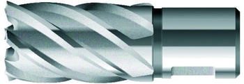 BDS Kernbohrer kurz KBK HSS Schaft Weldon 17/30mm (KBK017)
