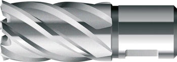BDS Kernbohrer kurz KBK HSS Schaft Weldon 21/30mm (KBK-021)