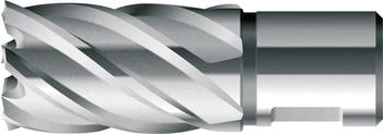 BDS HSS-Kernbohrer KBK kurz Schaft Weldon 14/30 mm (KBK014)