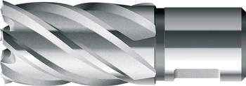 BDS Kernbohrer HSS Weldon 13/30mm (KBK-013)