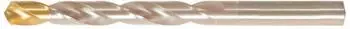 Forum Spiralbohrer D338N TiN Tip 10,10mm