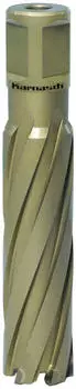 Metallkraft Kernbohrer HARD-LINE 80 Weldon &Oslash; 29mm (38720.165029)