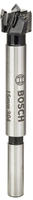 Bosch 2608597601, Bosch FORSTNERBOR HM 15MM