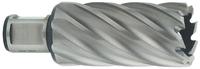 Metabo - Hss-kernbohrer 16x55 Mm, Weldonschaft 19 Mm (3/4') (626525000)