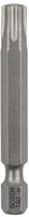Bosch Accessories 2607002515, Bosch Accessories 2607002515 Sechsrund-Bit T 40 extra