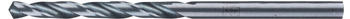 Pferd Spiralbohrer STEEL HSS-G (25203521)