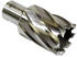 Makita Kernbohrer (UD00UPC)