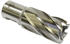 Makita Kernbohrer (UD00UPC)