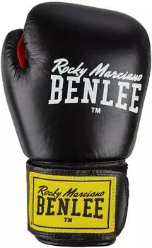 BenLee Fighter black 18oz